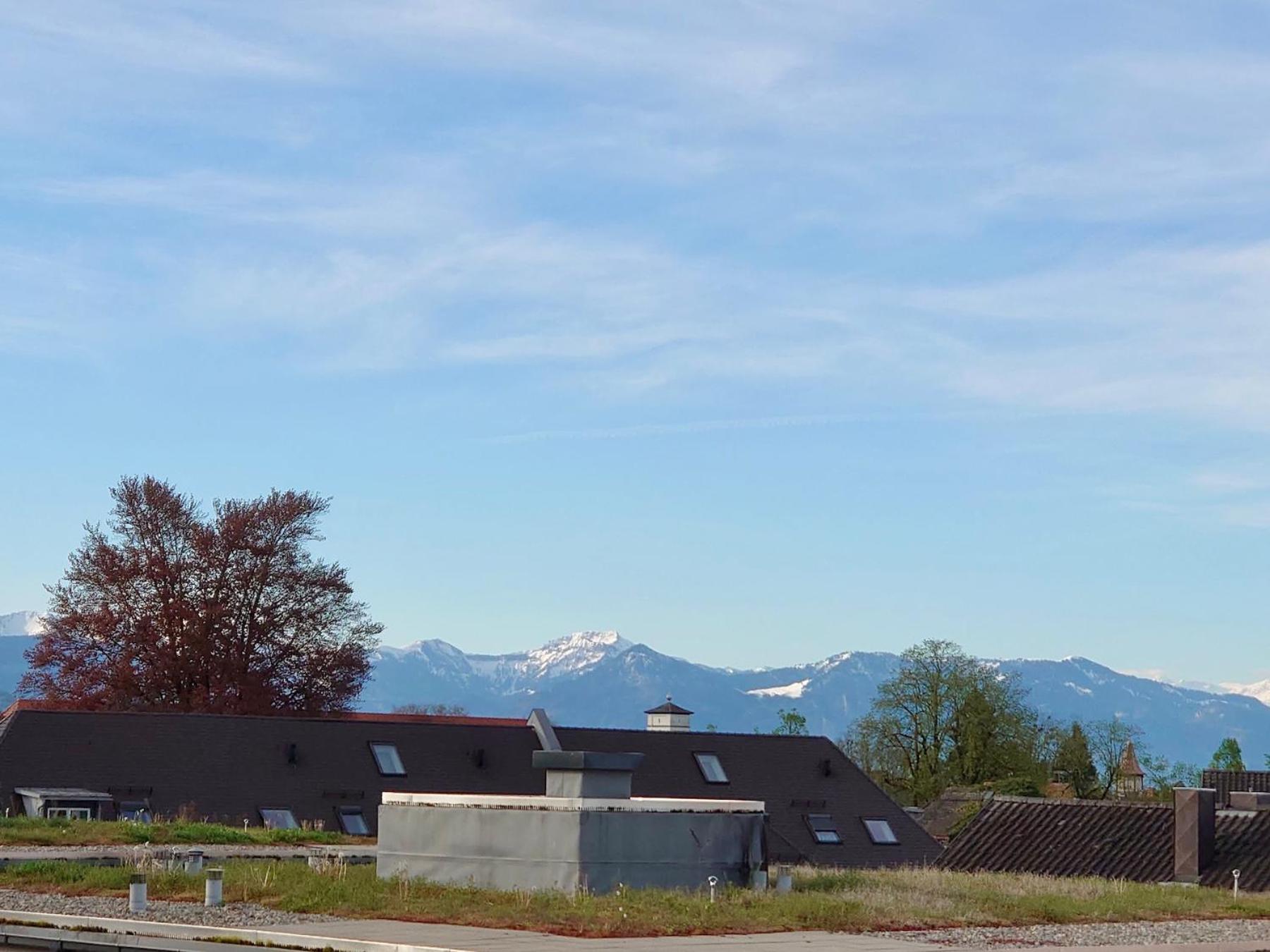 Ferienwohnung Riva - Wohlfuehloase In Ruhiger Lage 林道 外观 照片